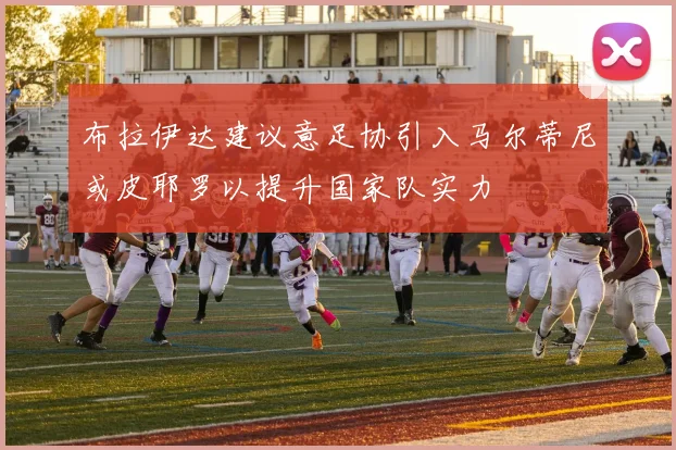 布拉伊达建议意足协引入马尔蒂尼或皮耶罗以提升国家队实力